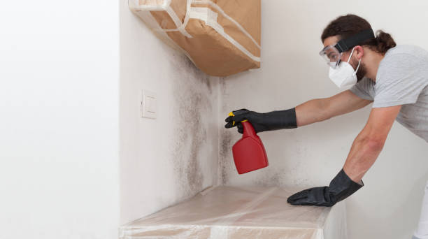 Professional Bathroom Mold Removal technician working in Withams, VA